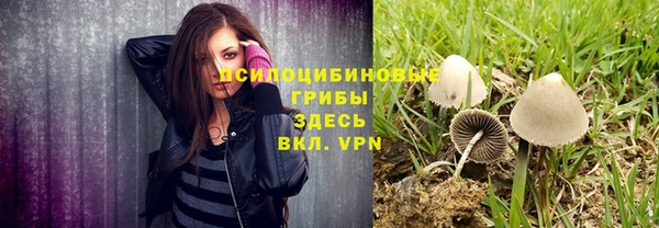 PSILOCYBIN Кодинск