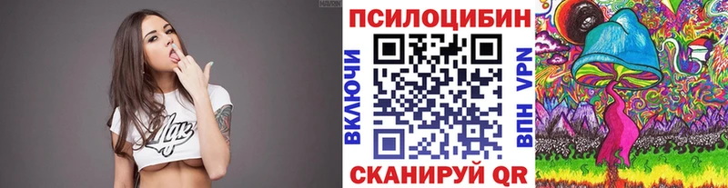 Галлюциногенные грибы Psilocybine cubensis  Купить закладки  Грязи 